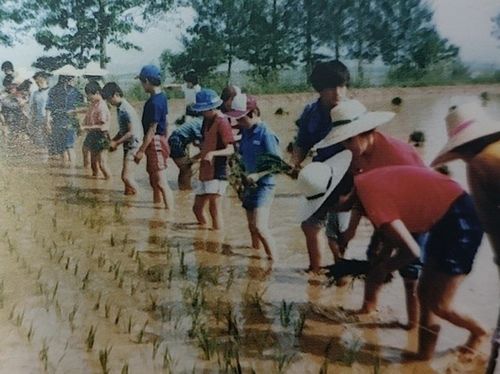 송준영 씨가 자랐던 보육원의 원생들이 원장 농장에서 모내기 하는 모습[조윤환 고아권익연대 대표 제공]
