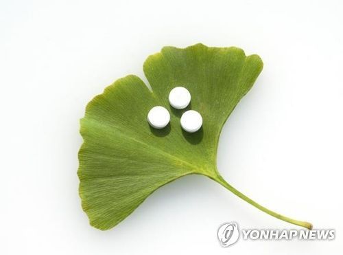 은행나무잎 추출물[게티이미지뱅크 제공]