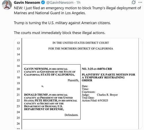 개빈 뉴섬 캘리포니아 주지사가 10일 엑스에 올린 게시물[X 게시물 캡처. 재판매 및 DB 금지]