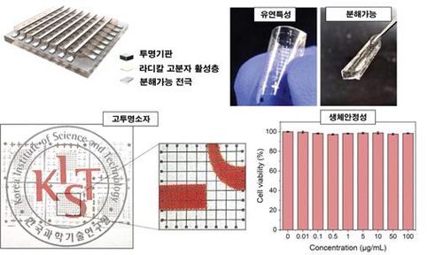 완벽히 물속에서 사라지는 생체적합형 고성능 메모리 소자[KIST 제공. 재판매 및 DB 금지]