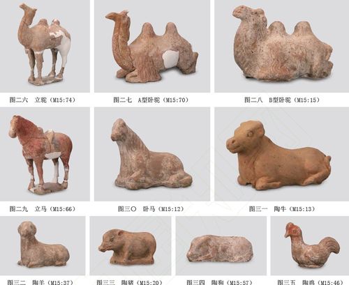 다양한 출토 유물 중국 산시성(陝西省) 고고연구원이 발표한 발굴 조사 보고서 내용 [김영관 교수 제공. 재판매 및 DB 금지]