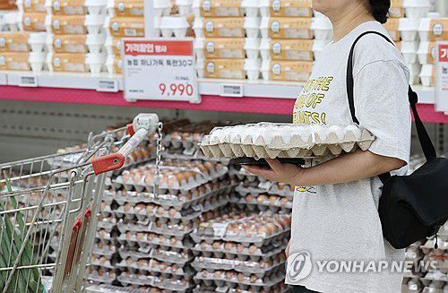 대형마트에 진열된 최근 가격이 오르고 있는 달걀의 모습[연합뉴스 자료사진]