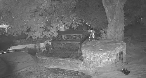 당시 모습[독자 제공. 재판매 및 DB 금지]