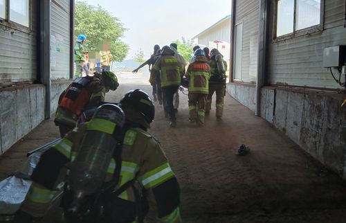 환자 이송[인천소방본부 제공. 재판매 및 DB 금지]