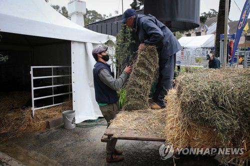 건초 옮기는 우루과이 농부[EPA 연합뉴스 자료사진. 재판매 및 DB 금지]