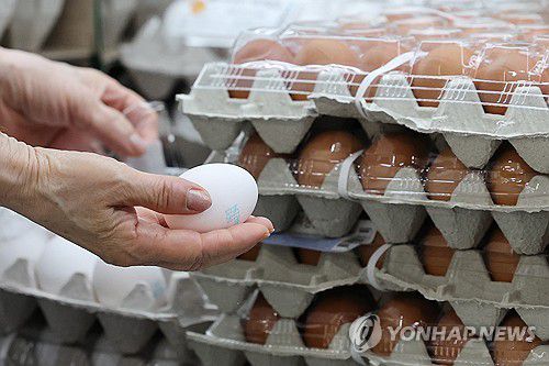 계란값 상승 배후 조사 나선 공정위(서울=연합뉴스) 임화영 기자 = 서울 시내의 한 대형마트에 진열된 계란. 2025.6.17 hwayoung7@yna.co.kr