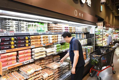 홈플러스 메가푸드마켓 라이브 강서점 [홈플러스 제공. 재판매 및 DB금지]