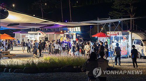 밤에도 북적북적…동해 무릉별유천지 라벤더 축제[연합뉴스 자료사진]