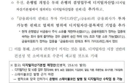 은행권, 디지털자산 겸영 허용 제언[제언 보고서 캡쳐. 재판매 및 DB 금지]