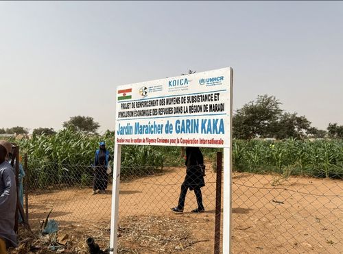 니제르 마라디 내 가린카카 지역의 상품작물 재배 공동농장[유엔난민기구 제공. 재판매 및 DB 금지]