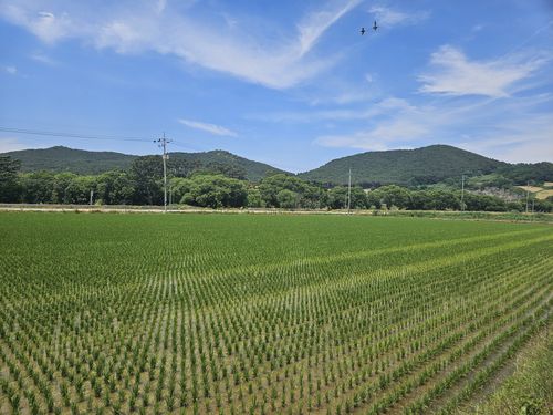 숲의 남쪽 전경[국가유산청 제공. 재판매 및 DB 금지]