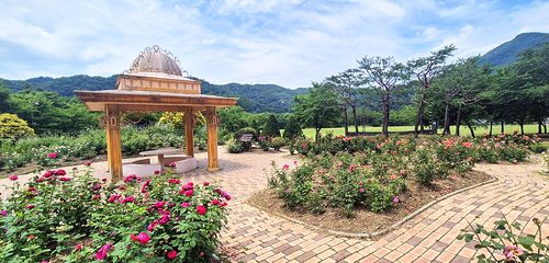 장미원·장미터널 등 계절 꽃 어우러진 산책로[대전 대덕구 제공. 재판매 및 DB 금지]