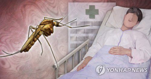 일본 뇌염 환자·빨간집모기(PG)[이태호, 정연주 제작] 사진합성·일러스트