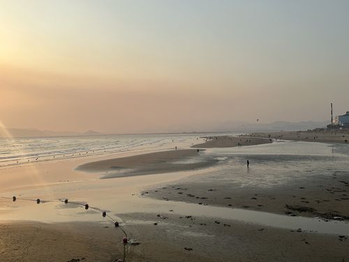 다대포 해수욕장 전경[부산비엔날레조직위원회 제공. 재판매 및 DB 금지]