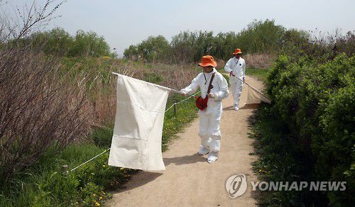 SFTS 매개 진드기 채집[연합뉴스 자료사진]