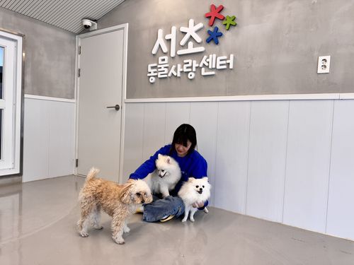 서초동물사랑센터[서초구 제공. 재판매 및 DB 금지]