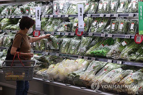 채소값 들썩…물가 비상등(서울=연합뉴스) 류효림 기자 = 장마철을 앞두고 여름 배추와 상추 등 채소류 가격이 들썩이고 있다. 30일 서울 시내 대형마트에서 시민들이 채소를 고르고 있다. 2025.6.30 ryousanta@yna.co.kr