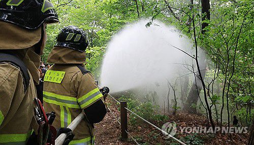물뿌리면 죽어요!...러브버그 방제(서울=연합뉴스) 최재구 기자 = 지난 3일 서울 노원구 공릉동 삼육대학교에서 소방대원들이 물을 뿌리며 러브버그 현장 방제활동을 하고 있다. 관계자는 러브버그 퇴치는 날개가 약한 개체의 특성으로 나뭇잎 아래쪽에 살수하는 것으로 충분하다고 전했다.  2025.7.4 jjaeck9@yna.co.kr