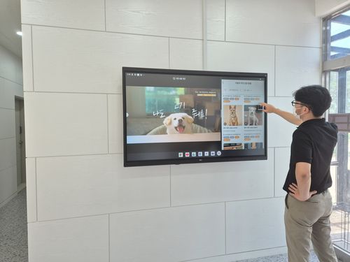 보호동물 정보를 볼 수 있는 터치 디스플레이[제주도 제공. 재판매 및 DB 금지]