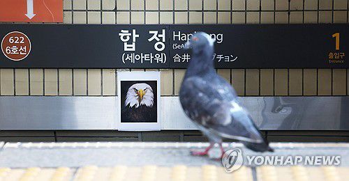 '들어오지 마라!'2024년 1월 30일 서울 마포구 합정역 출입구에 맹금류 사진이 부착되어 있다. 서울교통공사는 역 안으로 비둘기가 들어온다는 민원으로 인해 흰머리수리 등 맹금류 사진을 부착한 것이라고 설명했다. [연합뉴스 자료사진]