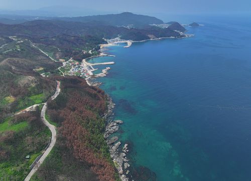 산불로 그을린 영덕 해안가[촬영 윤관식]