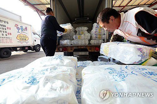 얼음 옮기는 작업자들(담양=연합뉴스) 김혜인 기자 = 연일 폭염 특보가 이어진 8일 오전 전남 담양군 봉산면 한 얼음공장에서 작업자들이 트럭에 얼음을 싣고 있다. 2025.7.8 in@yna.co.kr