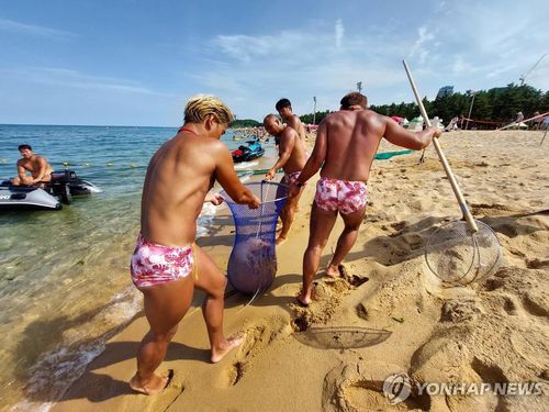 속초해변서 해파리 포획 중인 수상 안전요원[연합뉴스 자료사진]