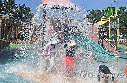 보기만 해도 시원하네[연합뉴스 자료사진]