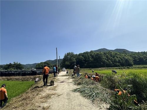 사고 현장 수색[보은소방서 제공. 재판매 및 DB금지]