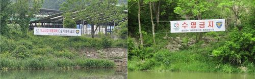 '다슬기 채취 금지', '수영 금지' [강원도 제공.재판매 및 DB 금지]