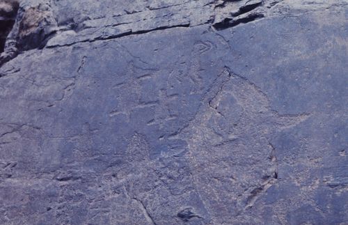 새끼 업은 고래, 거북이, 사람원로 미술사학자인 강우방 일향한국미술사연구원장이 국립문화유산연구원에 기증한 울주 대곡리 반구대 암각화 사진 [국립문화유산연구원 제공. 재판매 및 DB 금지]