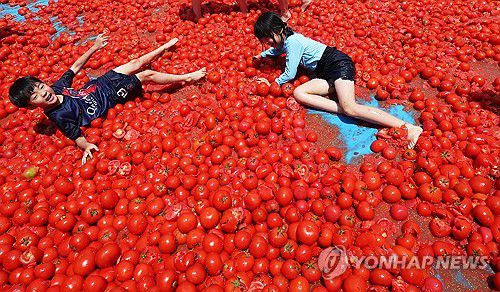토마토 속으로 풍덩(경기 광주=연합뉴스) 홍기원 기자 = 지난달 22일 경기도 광주시 퇴촌면 광동로 일원에서 열린 '제23회 퇴촌토마토 거리축제'에서 '황금 토마토를 찾아라' 이벤트에 참가한 어린이들이 토마토 풀장에서 즐거워하고 있다. 2025.7.11.