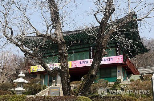 천안 광덕사 호두나무(천안=연합뉴스) 한종구 기자 = 충남 천안시 광덕면 광덕사 앞 마당에 심어져 있는 천연기념물 제398호 광덕사 호두나무. 2015.3.30    jkhan@yna.co.kr (끝)