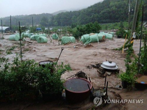집중호우로 물에 잠긴 예산 마을(예산=연합뉴스) = 호우경보가 내려진 17일 오전 충남 예산군 봉산면에서 산사태로 떠밀려온 흙더미가 한 축사를 덮쳐 소가 매몰돼 있다. 2025.7.17 [독자 제공. 재판매 및 DB 금지] swan@yna.co.kr