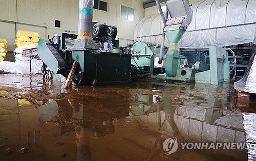 당진 집중호우에 침수 피해 속출(당진=연합뉴스) 이주형 기자 = 17일 오전 폭우가 쏟아진 충남 당진시 면천면의 부직포 공장이 침수돼 가동이 중단됐다. 전날부터 이날 오전 11시까지 당진시는 신평면에 376.5㎜의 폭우가 쏟아지는 등 집중호우가 내렸다. 2025.7.17 coolee@yna.co.kr