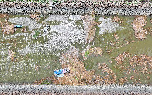 영산강 하구에 쌓인 수해 쓰레기(목포=연합뉴스) 정다움 기자 = 20일 오후 전남 목포시 옥암동 영산강 하굿둑 인근 강 수면에 최근 내린 폭우로 흘러온 쓰레기와 부유물이 떠 있다. 2025.7.20 daum@yna.co.kr