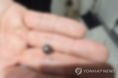 인천 사제총기 살해 사건에 쓰인 탄환(인천=연합뉴스) 인천 연수경찰서는 인천시 연수구 송도동 아파트에서 사제 총기를 발사해 아들을 살해한 혐의로 60대 남성을 수사 중이라고 21일 밝혔다. 사진은 범행에 사용된 탄환 모습. 2025.7.21 [인천경찰청 제공. 재판매 및 DB 금지] goodluck@yna.co.kr