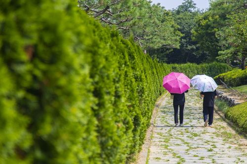 안성 서일농원[경기관광공사 제공. 재판매 및 DB 금지]
