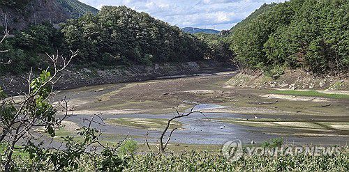 전국은 물난리인데 강릉은 물 부족 심각[연합뉴스 자료사진]