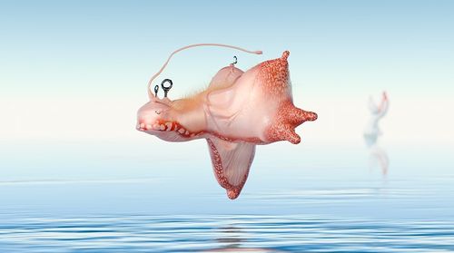 '살의 여덟 정령 - 태' 영상 일부 추수, '살의 여덟 정령 - 태', 2025, 영상, 컬러, 사운드. 13분 6초. 음악: 마르텐 보스, 3D 그래픽 팀: 로이드 마크바트·지언 쾨니히, 에디팅 어시스턴트: 김소희 [국립현대미술관 제공. 재판매 및 DB 금지]