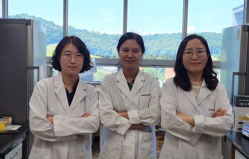 한의학연 연구팀[한국한의학연구원 제공. 재판매 및 DB 금지]