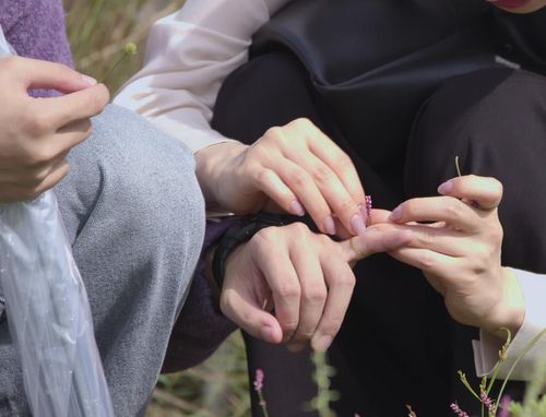'모태솔로지만 연애는 하고 싶어'의 한 장면[넷플릭스 제공. 재판매 및 DB 금지]