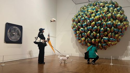 고치가개 미술관[제주도 제공. 재판매 및 DB 금지]