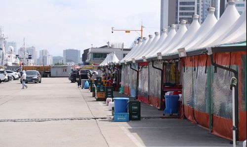 속초 오징어 난전[촬영 류호준]