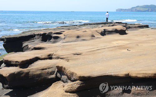 제주 사계해안 하모리층, 사진 오른쪽 뒤로 하모리층을 만든 송악산이 보인다.[촬영 고성식]