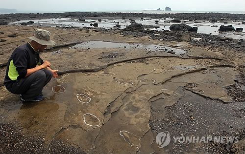 제주 사람발자국 화석[연합뉴스 자료 사진]