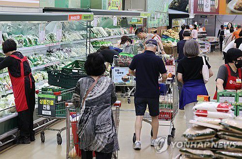 음식료품 물가 OECD에서 2번째(서울=연합뉴스) 이재희 기자 = 지난 6월 15일 서울의 한 대형마트에서 장을 보는 시민의 모습. 2025.6.15 scape@yna.co.kr