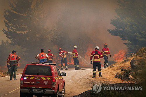 산불을 진화하는 포르투갈 소방대원[EPA 연합뉴스 자료사진 재판매 및 DB 금지]
