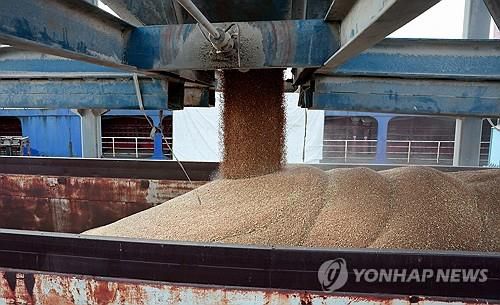 시리아 항구에서 밀 싣는 트럭(타르투스 <시리아> 로이터=연합뉴스) 시리아가 가뭄으로 심각한 밀 부족을 겪고 있는 가운데 2025년 8월 17일 시리아의 타르투스 항구에서 러시아 선적 선박으로부터 밀을 싣고 있는 트럭의 모습. (REUTERS/Mahmoud Hassano) 2025.8.19.