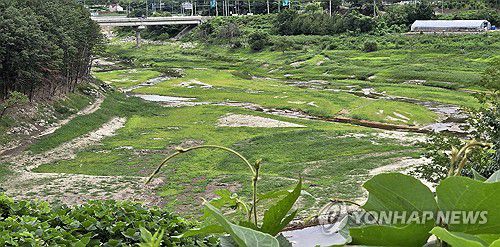 텅 빈 강릉시 상수원…내일부터 계량기 50% 잠금 제한급수[연합뉴스 자료사진]